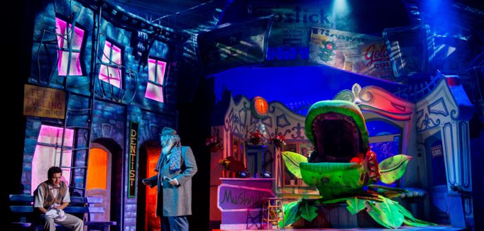 liitle-shop-of-horrors-bournemouth-pavilion-review
