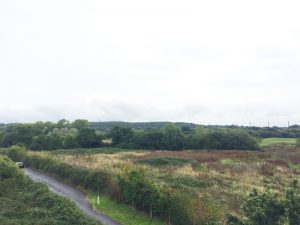 Wessex Fields