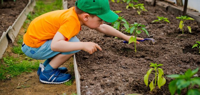 image of a young boy gardening
