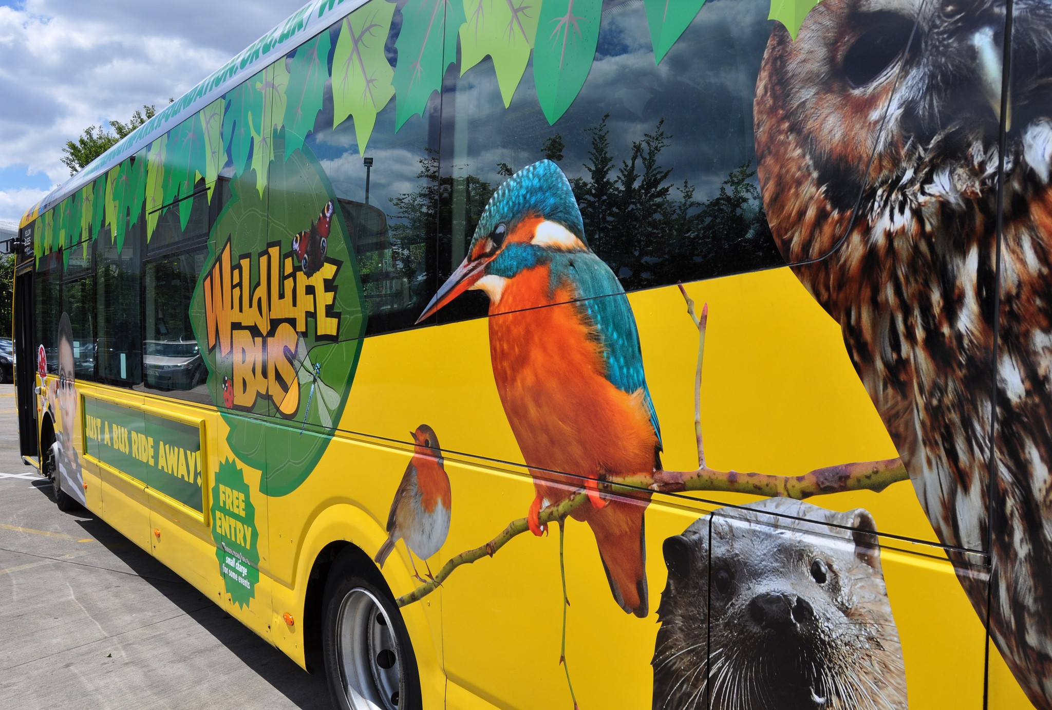 LOCAL NEWS Yellow buses go green with new 'wildlife bus' BH Living