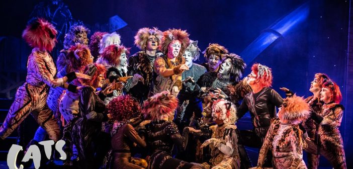 image from the show Cats at The Regent Centre in Christchurch