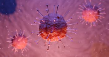 Corona Virus Closeup