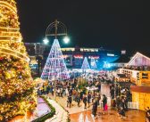 LEISURE: The Bournemouth Christmas Tree Wonderland is waiting for you!