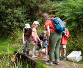 LEISURE: Half price memberships bloom at Dorset Wildlife Trust