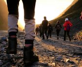 LEISURE: Start 2026 with a wildlife walking challenge